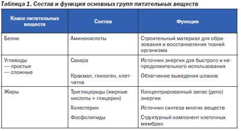 Определение ритейлеров и их функции