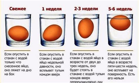 Определение свежести яйца в воде