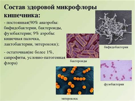 Определение условно патогенной флоры