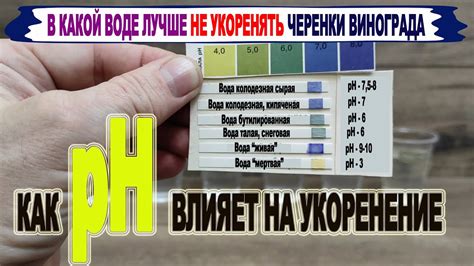 Определите и корректируйте уровень кислотности в воде