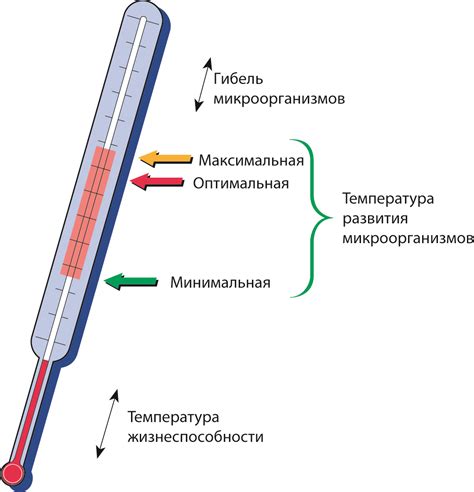 Оптимальная температура для нагревания клея