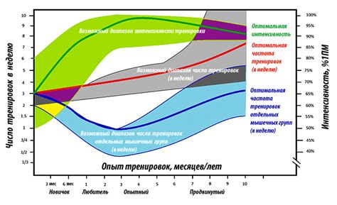 Оптимальная частота и интенсивность занятий спортом перед зачатием