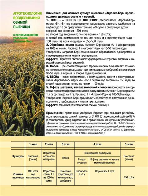 Оптимальное время для обработки почвы