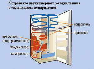 Оптимальное распределение продуктов в двухкамерной системе холодильника