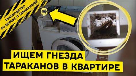 Оптимальные способы борьбы с нежелательным отложением в нижней части сантехнического прибора