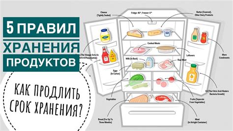 Оптимальные условия для горячих продуктов в холодильнике