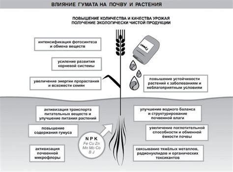 Оптимальный порядок посадки для достижения максимального урожая