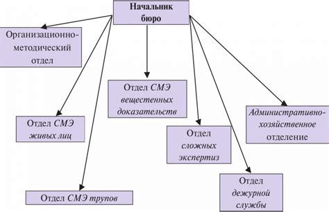 Организационная структура учреждения судебно-медицинской экспертизы