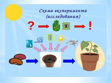 Организация проведения опытов