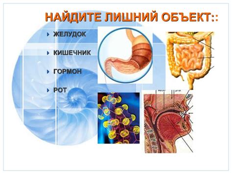 Организм как живой объект