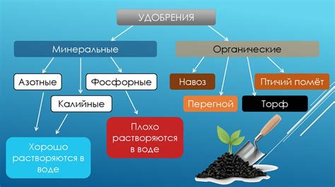 Органические и минеральные элементы