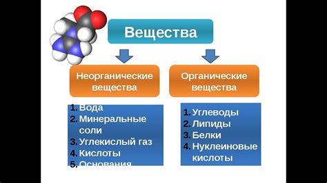 Органические и неорганические соединения: общие черты и различия