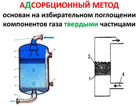 Органические методы очистки воздуха