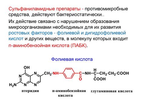 Органические соединения: основные особенности и свойства