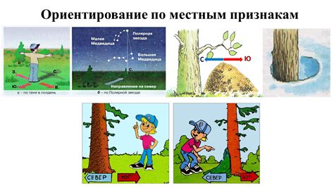 Ориентация на местности