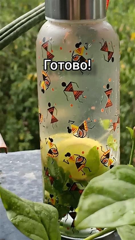 Освежающий и полезный