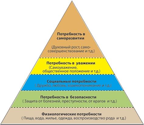 Освещение как важный фактор роста бамбуковой спирали