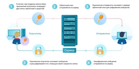 Основа Ватсап: принцип работы и структура мессенджера