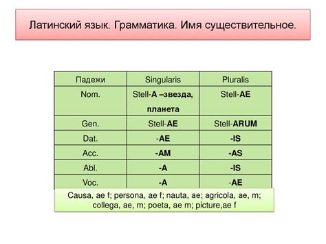 Основа латинского существительного