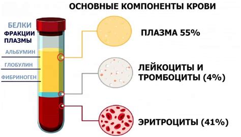 Основные компоненты на основе чего вакцина сделана