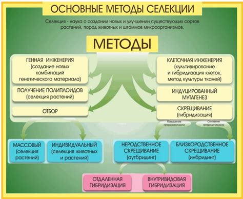 Основные методы применения