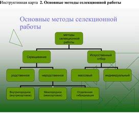 Основные методы работы