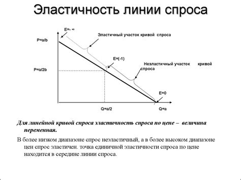 Основные понятия и определения эластичности спроса