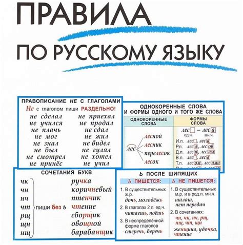 Основные правила русского языка