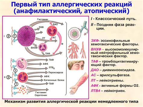 Основные признаки аллергической реакции на корень инжира