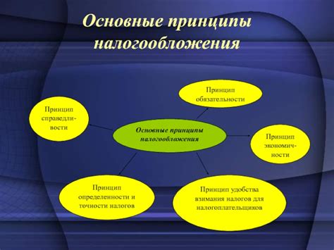 Основные принципы, согласно которым функционирует налоговая система в Чкаловском районе