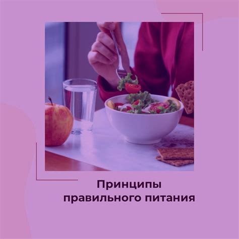 Основные принципы введения дополнительных продуктов питания: постепенное введение и разнообразие