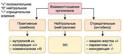 Основные принципы взаимодействия между кассой и компьютером