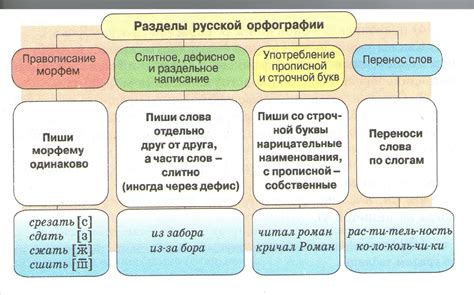 Основные принципы грамматики русского языка