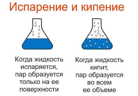 Основные принципы закона активности в реакциях химических веществ