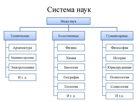 Основные принципы составающих права в контексте общественных наук