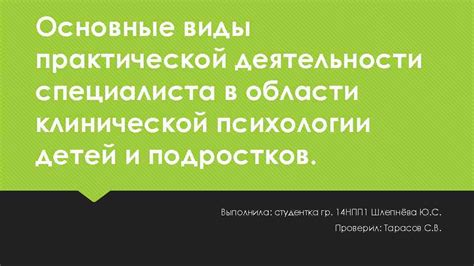 Основные принципы формирования практической деятельности специалиста в области психологии