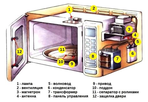 Основные принципы функционирования микроволновой печи