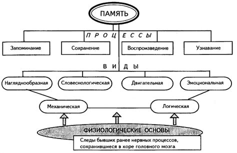 Основные принципы функционирования памяти у наступательного гиганта