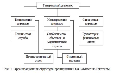 Основные различия между генеральным директором и директором