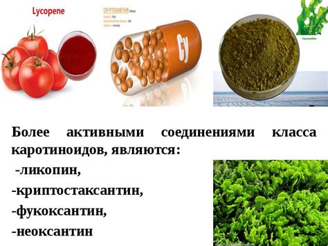 Основные свойства каротиноидов