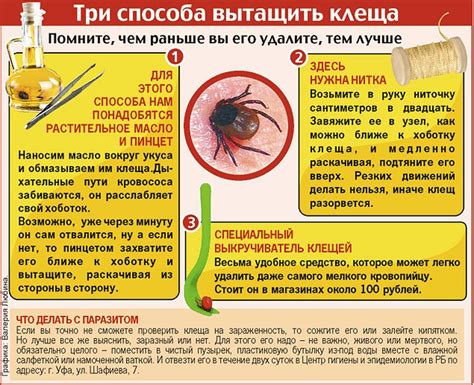 Основные симптомы после удаления клеща у ребенка