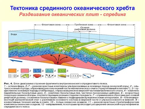 Основные структурные элементы