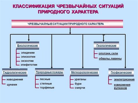 Основные типы ЧС: разнообразие непредвиденных обстоятельств