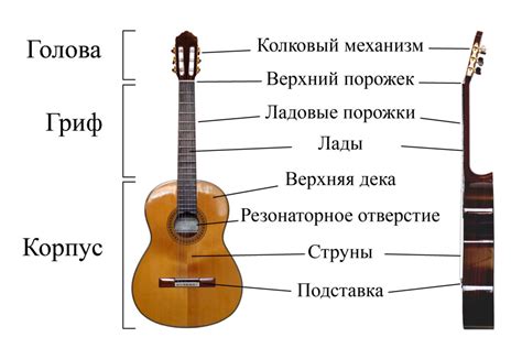 Основные типы каподастров