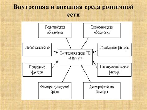 Основные цели деятельности службы безопасности в розничной сети "Магнит"