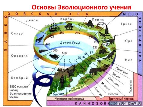 Основы географии и истории