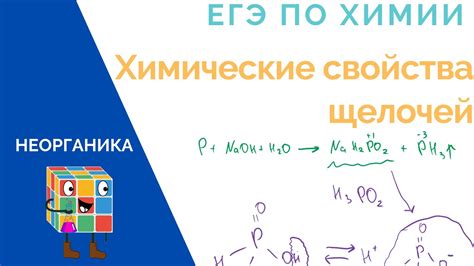 Основы химии: понимание сущности щелочей