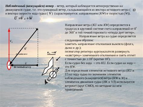 Особенности берега и течения