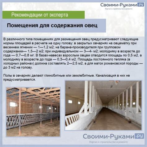 Особенности выпаса и кормления