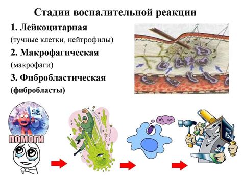 Особенности выявления воспалительной реакции при отсутствии повышенной температуры